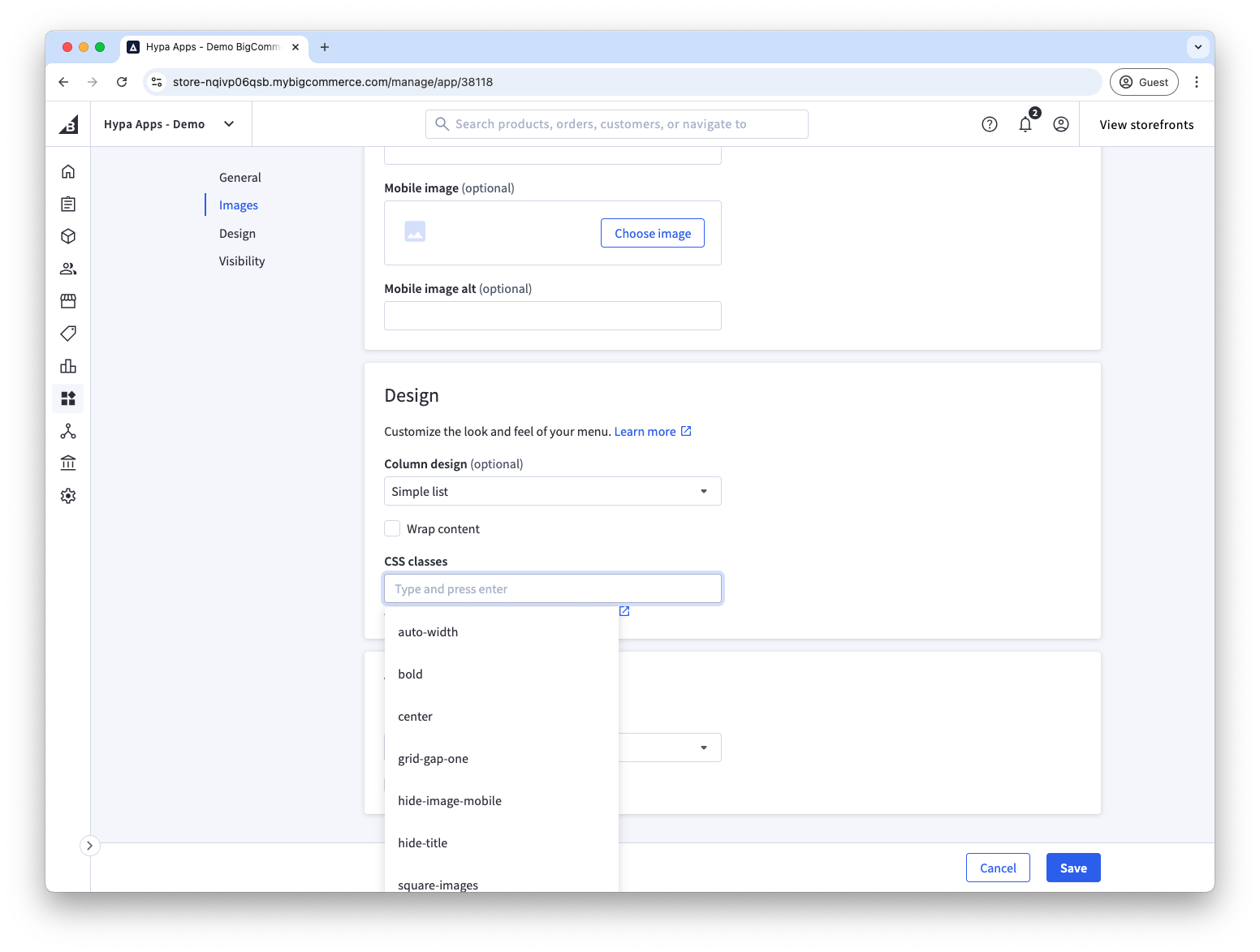CSS classes field for a menu item